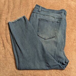 Meri Skye Raw Ankle Cropped Jeans, Size 24W